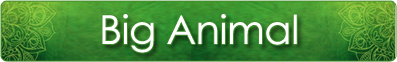 big_animal